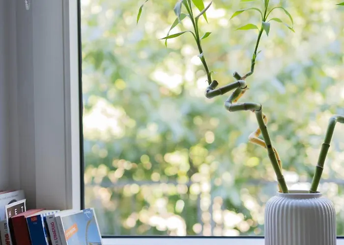 With Terrace And A Free Parking